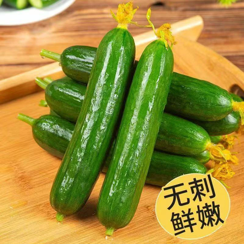 农家自产水果黄瓜应季水果一整箱蔬菜凉拌生吃脆甜绿心