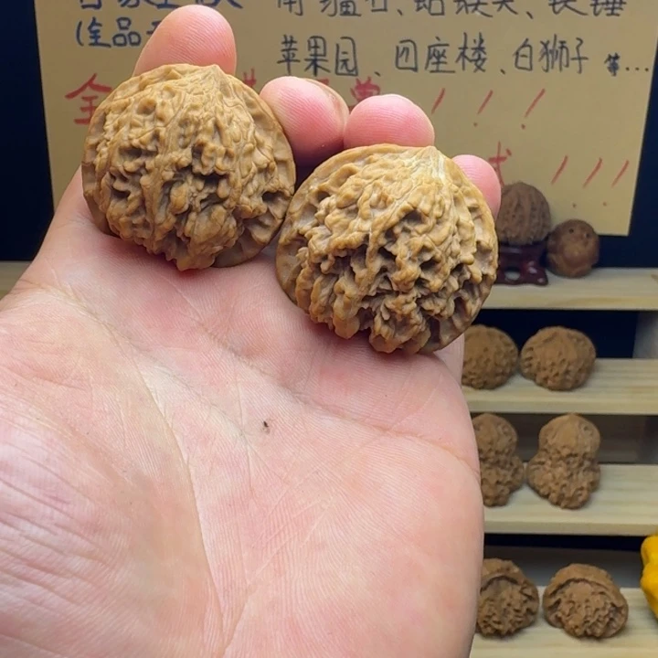 满天星11111111111