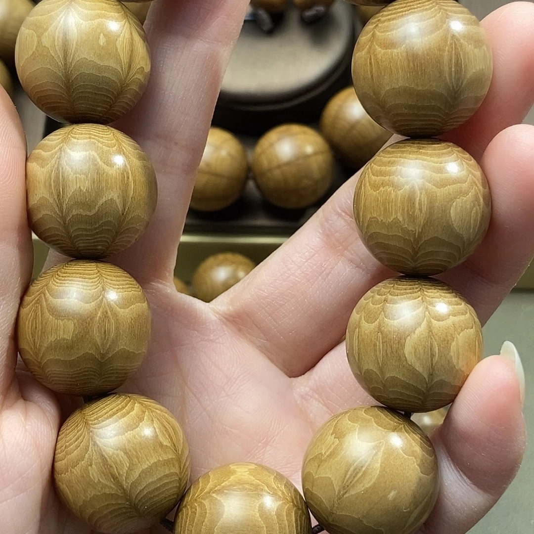 旅***傅六道木山西五台山