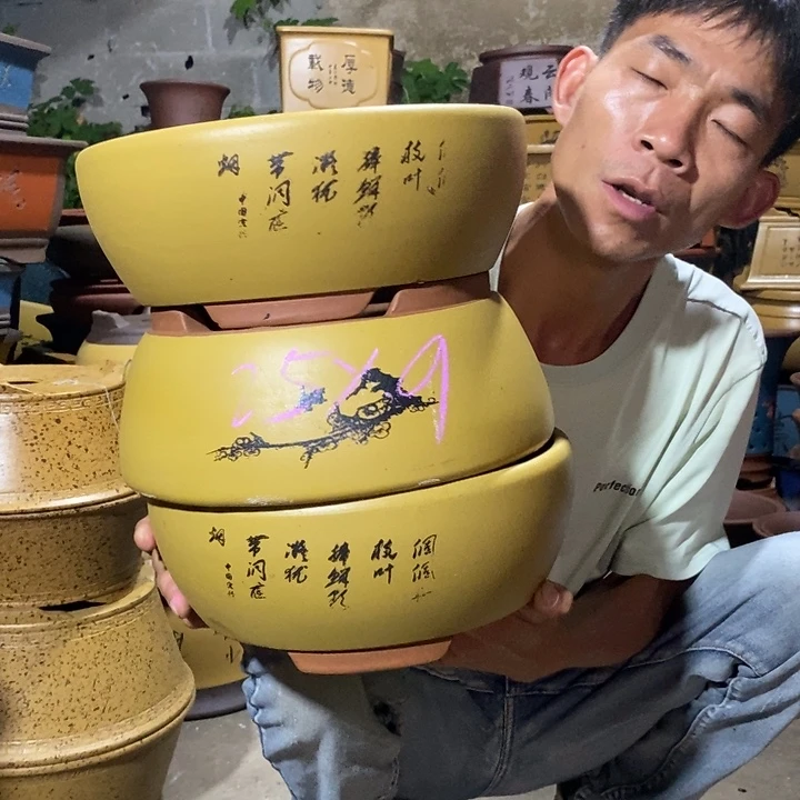 紫砂紫砂紫砂紫砂