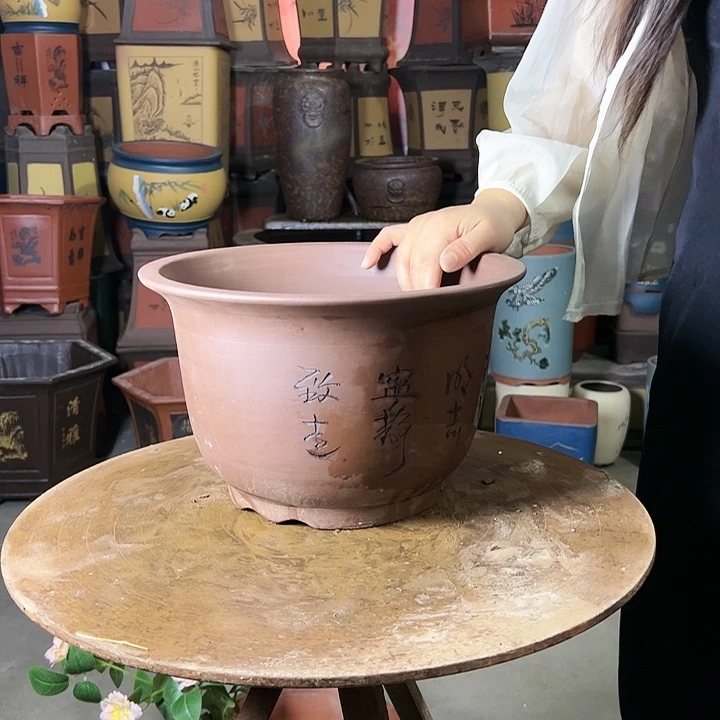 30平角金钟花盆花盆花盆