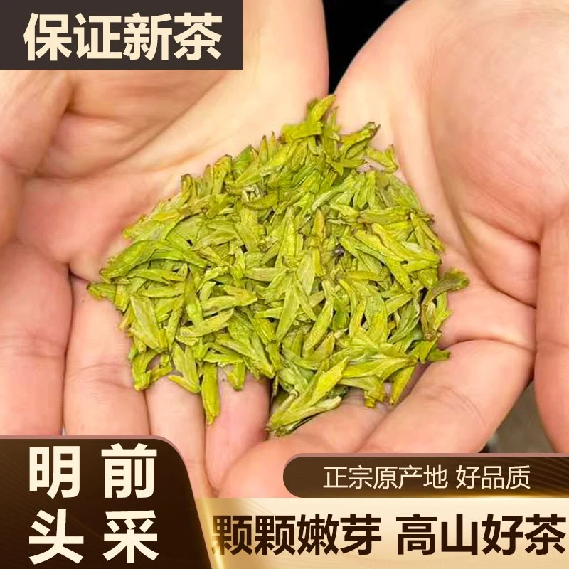 2025新茶豆香型高山龙井43明前头采嫩芽罐装春茶高山绿茶茶叶