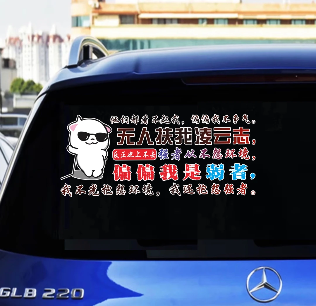 他们都看不起我偏我不争气（43×18cm）无人扶我凌云志 汽车个性贴纸