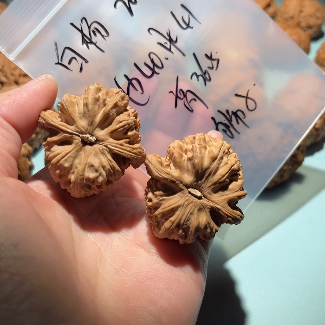 白***杨吊坠文玩核桃白狮子