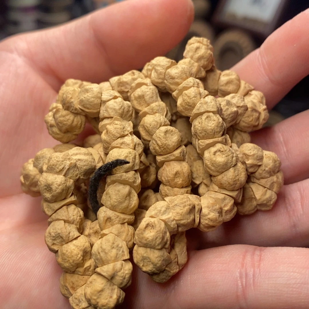 吊坠柏香籽/百香籽大肠