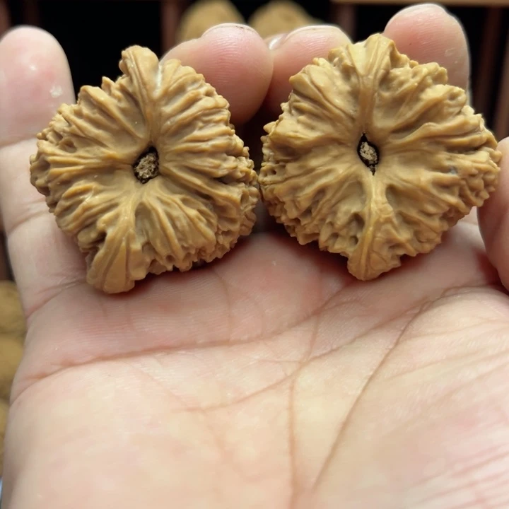 完全开放文****盘南疆石