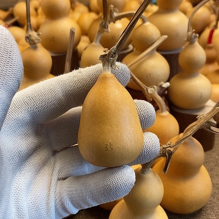 文玩葫芦 完美主义者 慎拍35