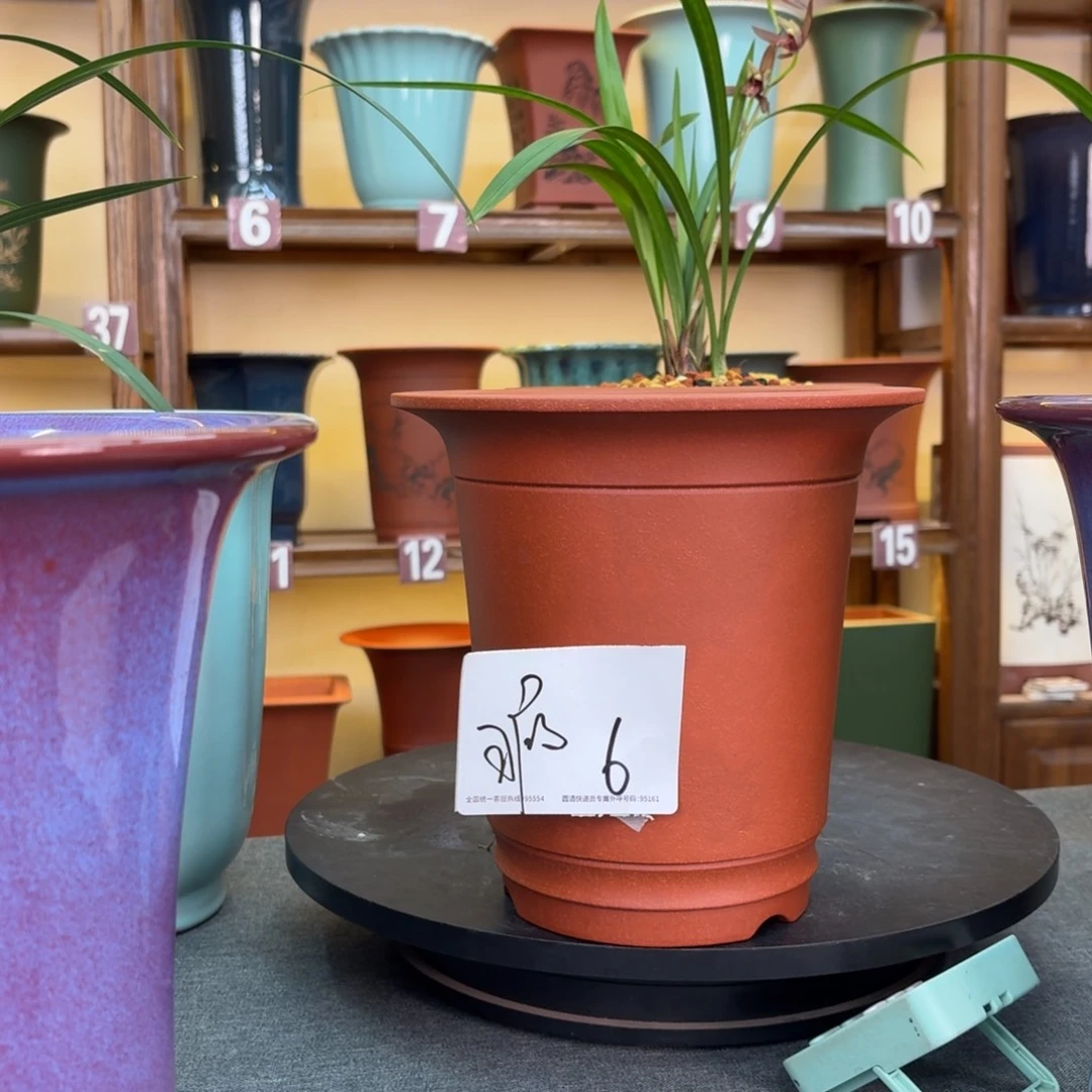 紫砂花盆兰花45585575555