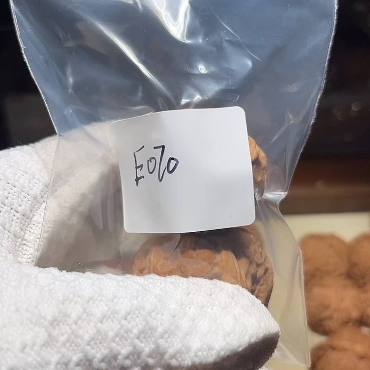 文玩核桃吊坠蛤蟆头E070