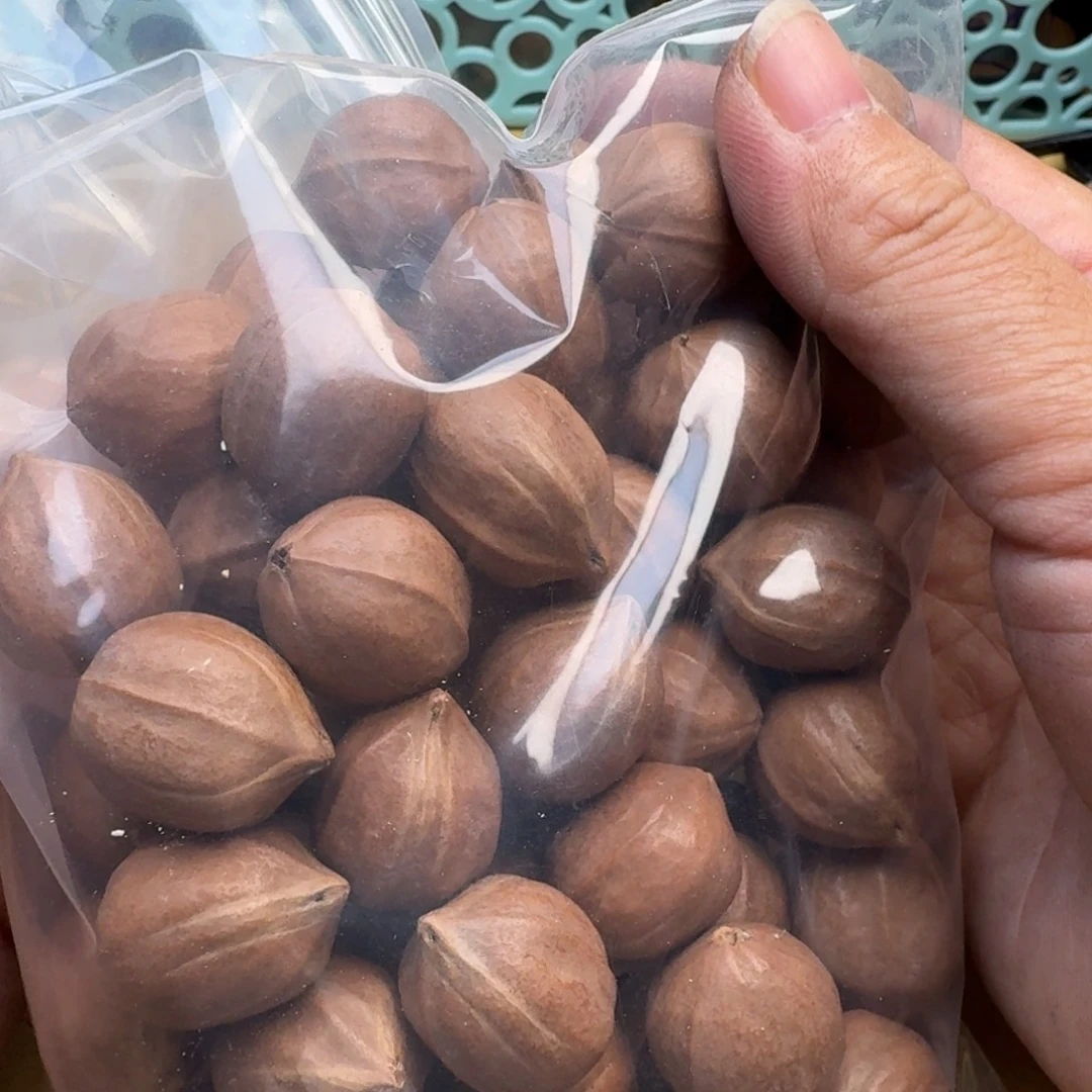 时***雨手串/手链橄榄核1