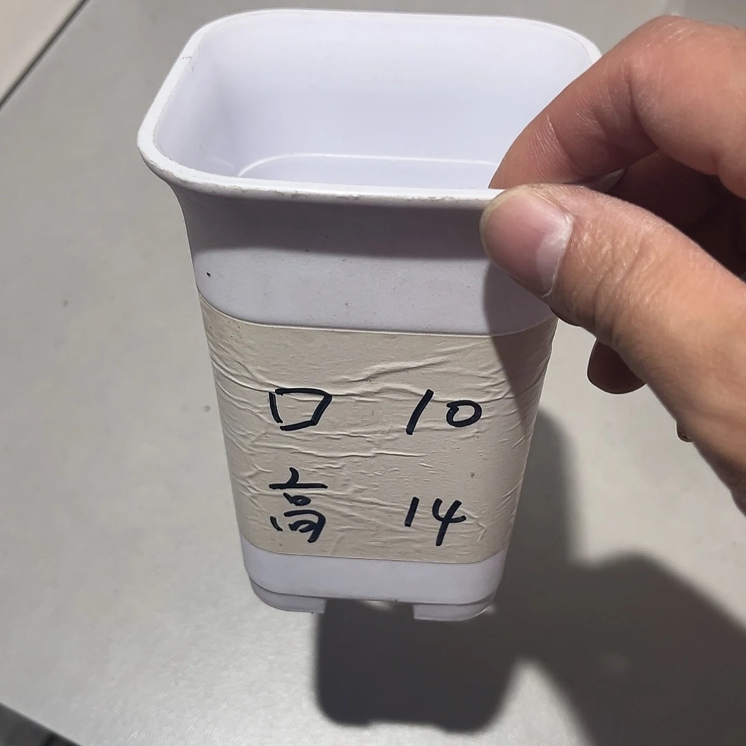 加厚万象口10高14白盆10个无托