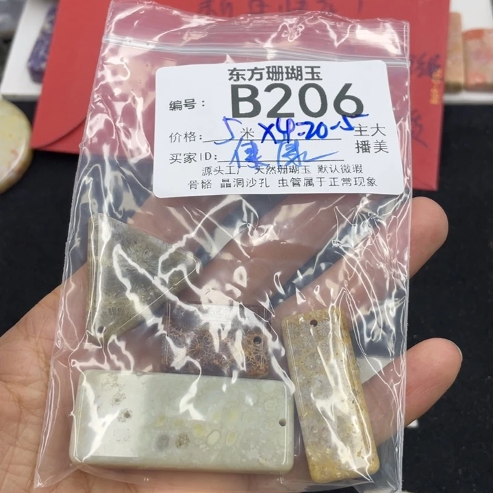 硅化珊瑚（珊瑚玉）颈饰合金健**宁