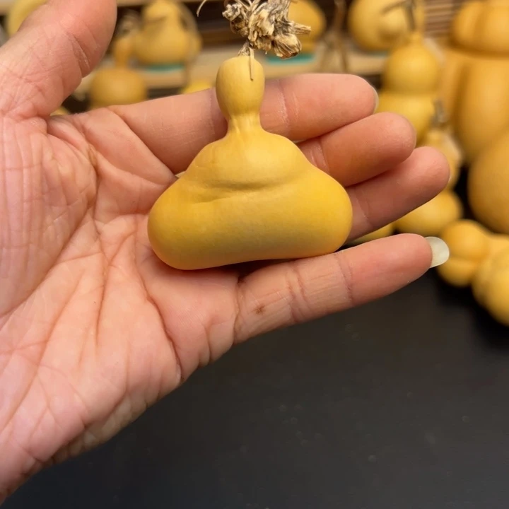 夏*葫芦葫芦葫芦葫芦葫芦葫芦