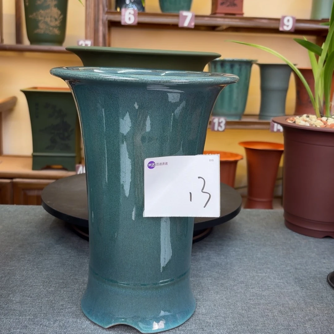 紫砂花盆嘿***珼兰花5268548665558665