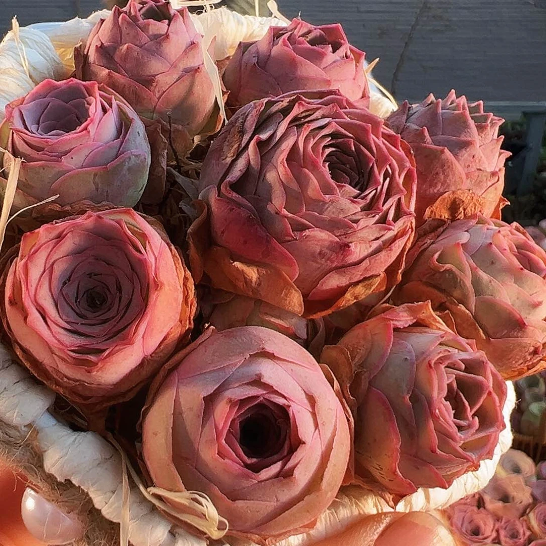 捡漏花篮。TT20.