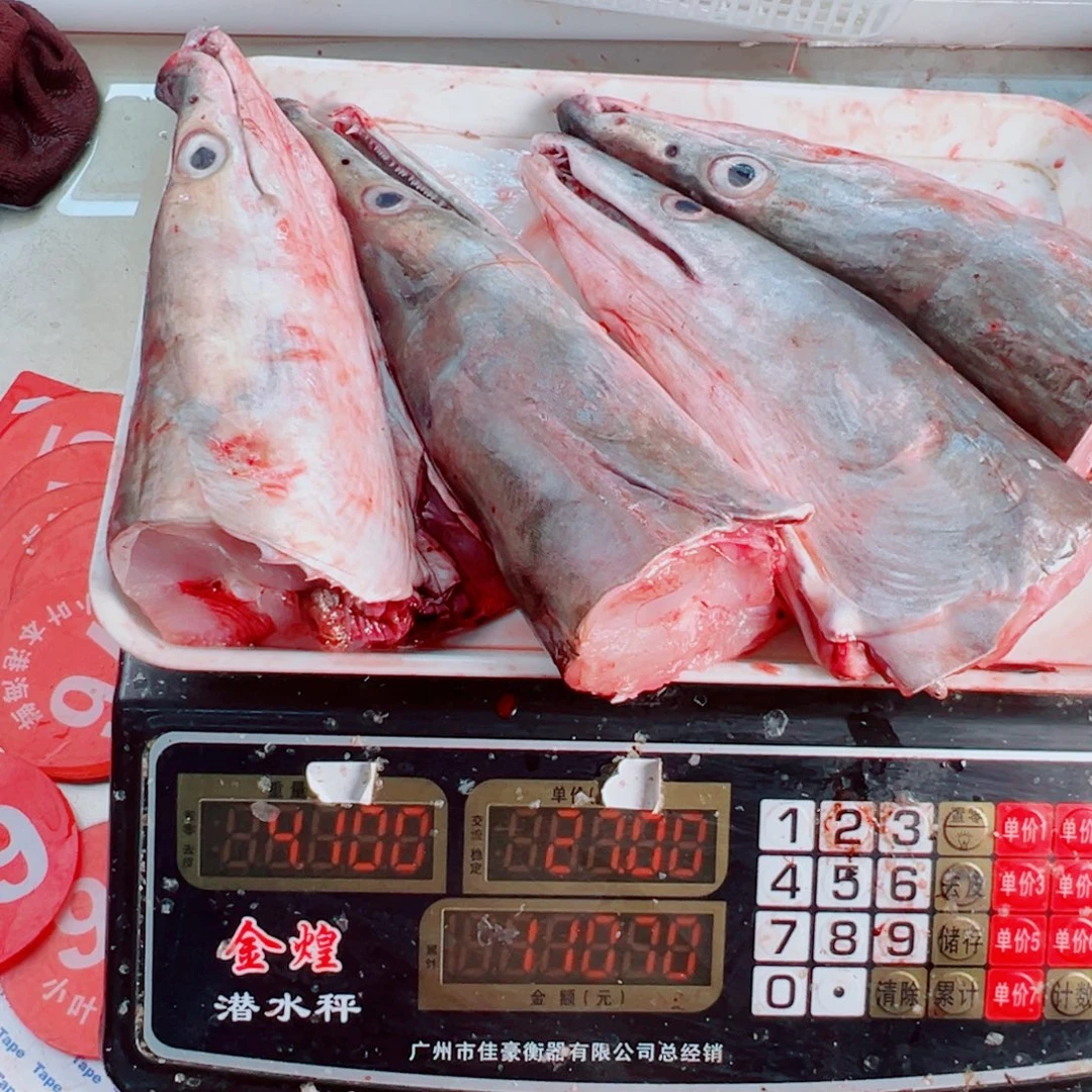 中国大陆四个鳗鱼头