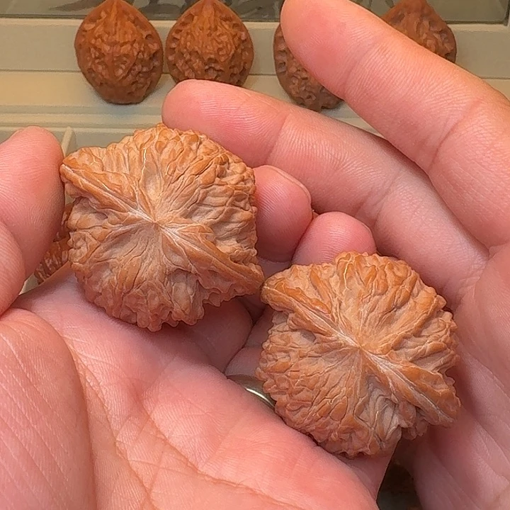 全品对歪点尺寸45磨盘精品精配