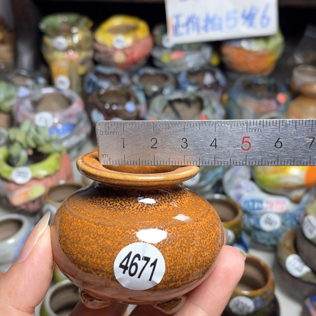 拍5送一个小礼物