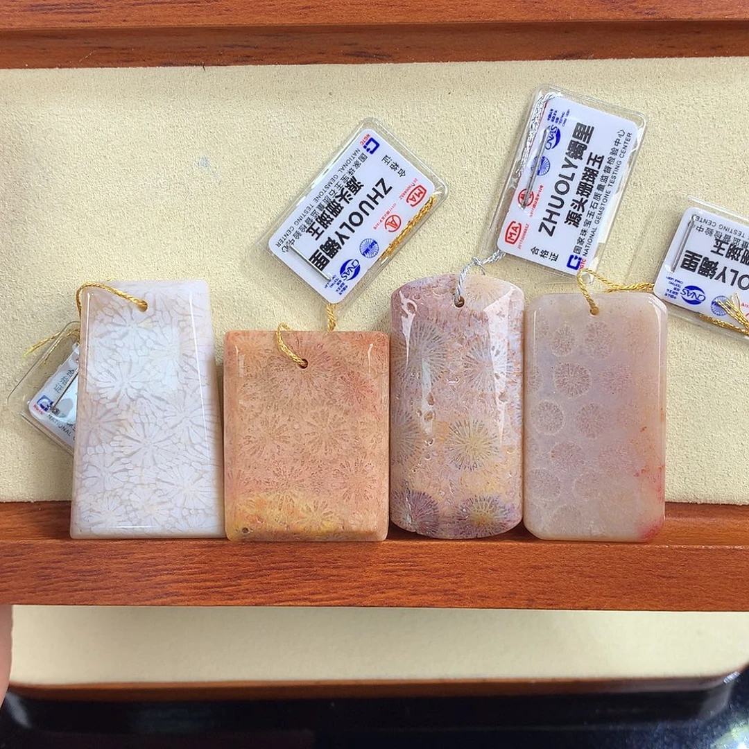 吊坠(赠链)未镶嵌硅化珊瑚（珊瑚玉）17号吊坠50漏30米一个可挑哦