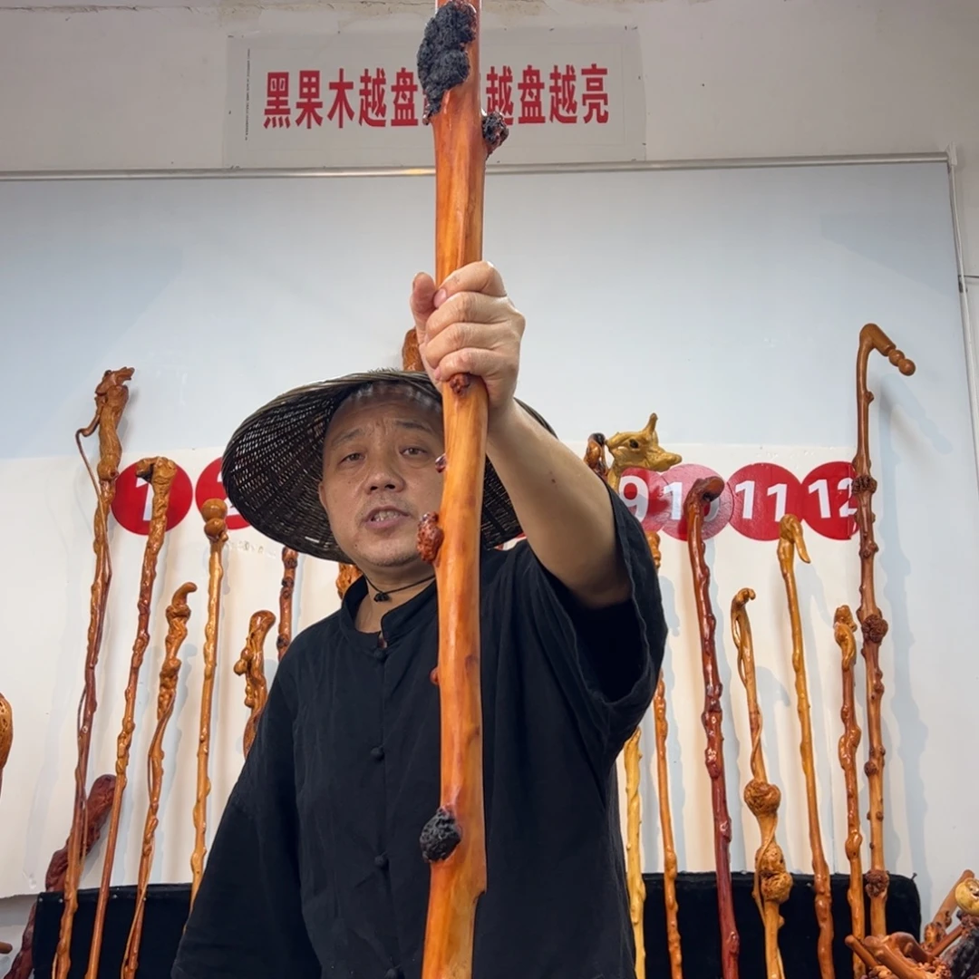 其他黑果木黑果木028