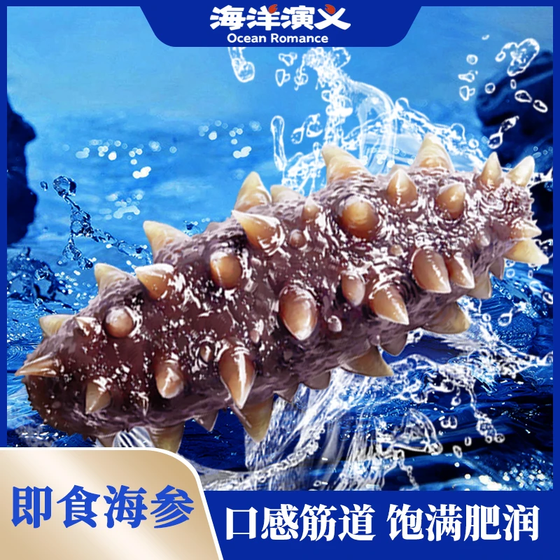 海洋演义 即食海参（8-12头）500g/包*2包