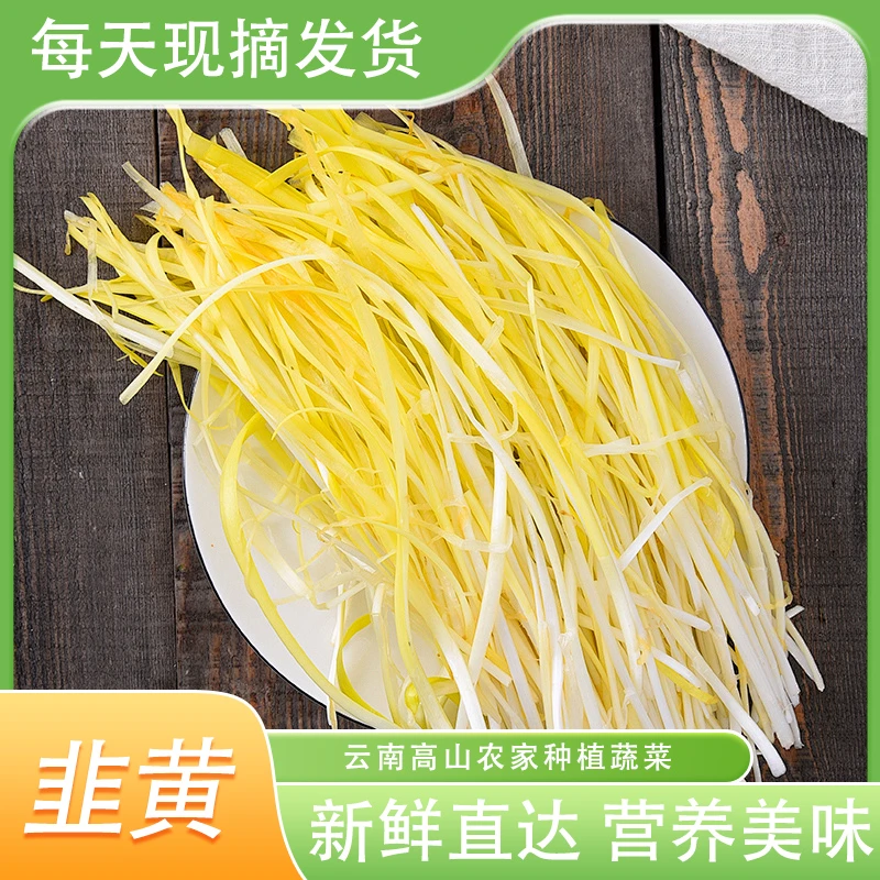 云南农家蔬菜新鲜现摘韭黄5斤装