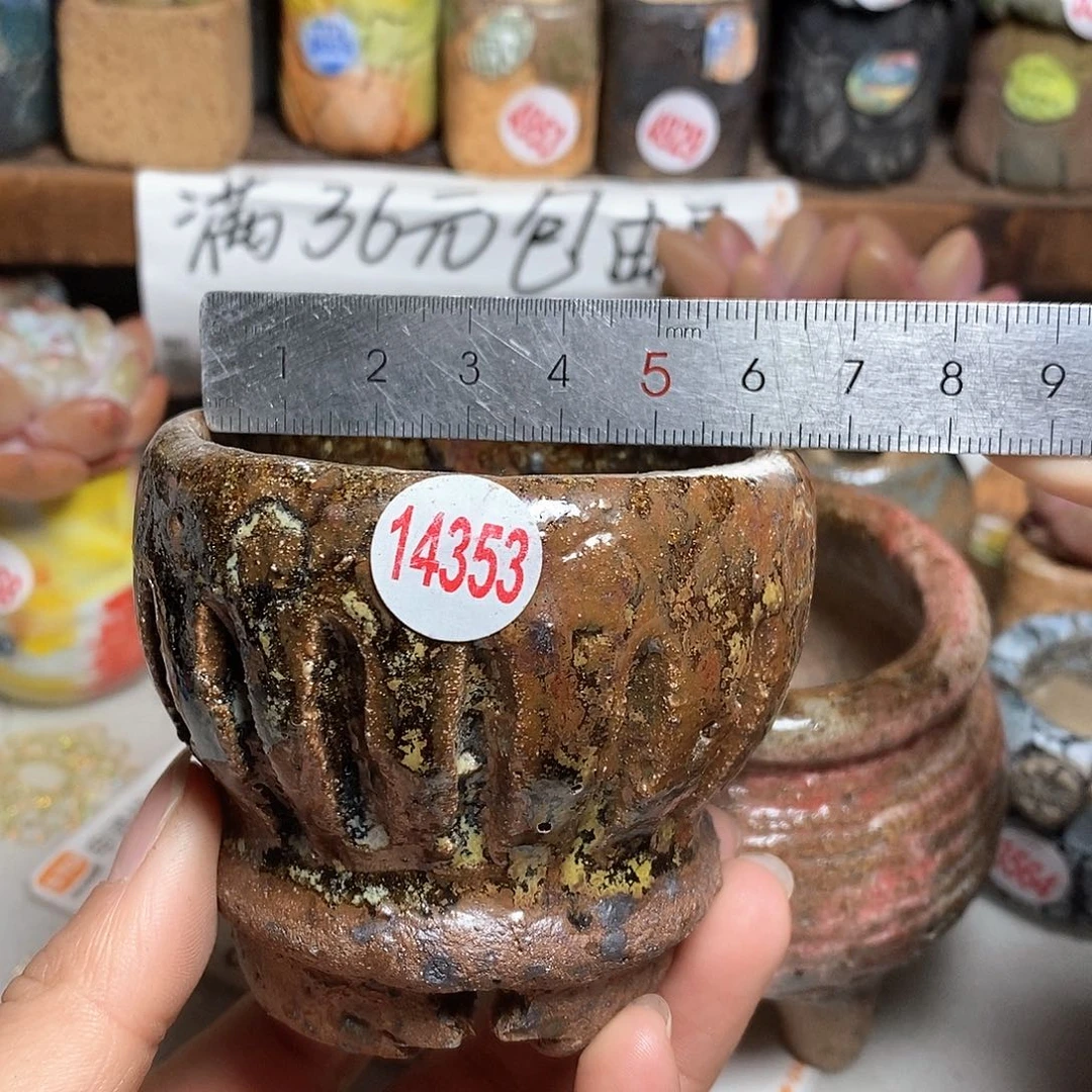红陶拍5送一个小