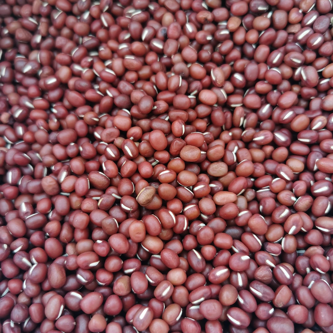 主播自家种的东北农家自种红小豆没有化肥农药的可煮粥煲汤做馅