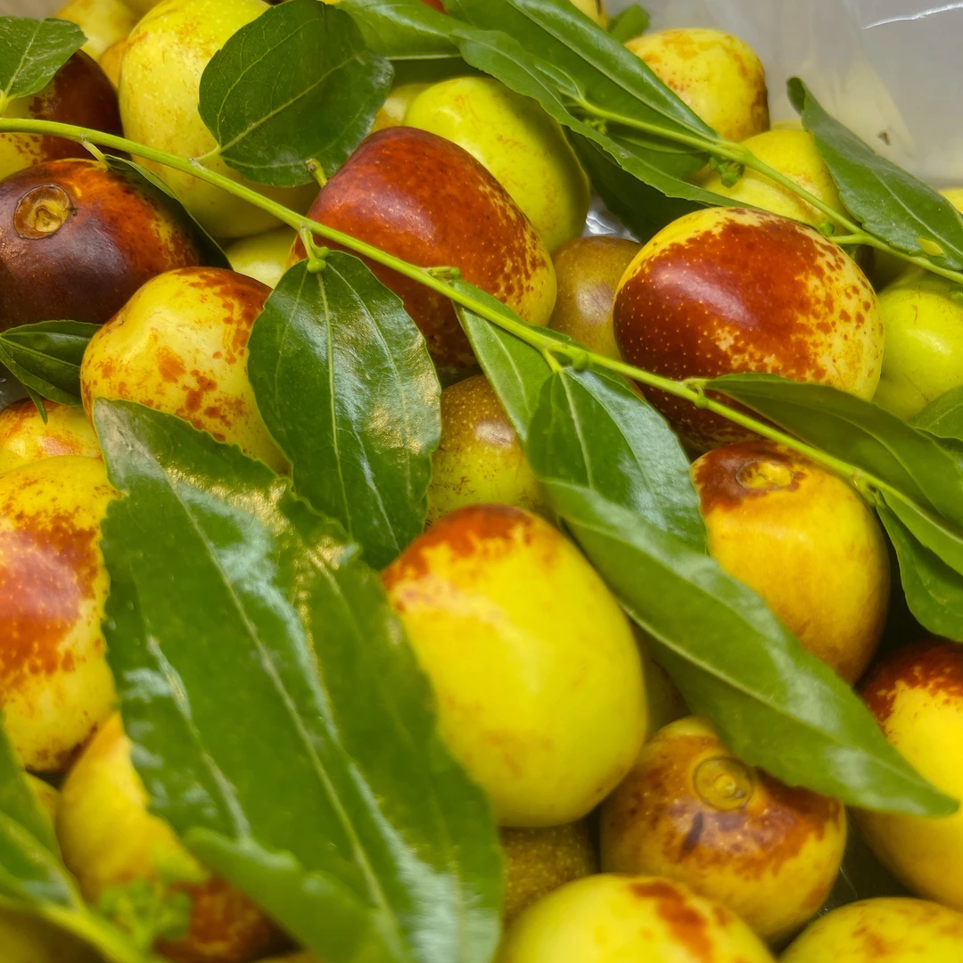 【长岭徐氏果业】冬枣散称，脆甜爽口，约500克