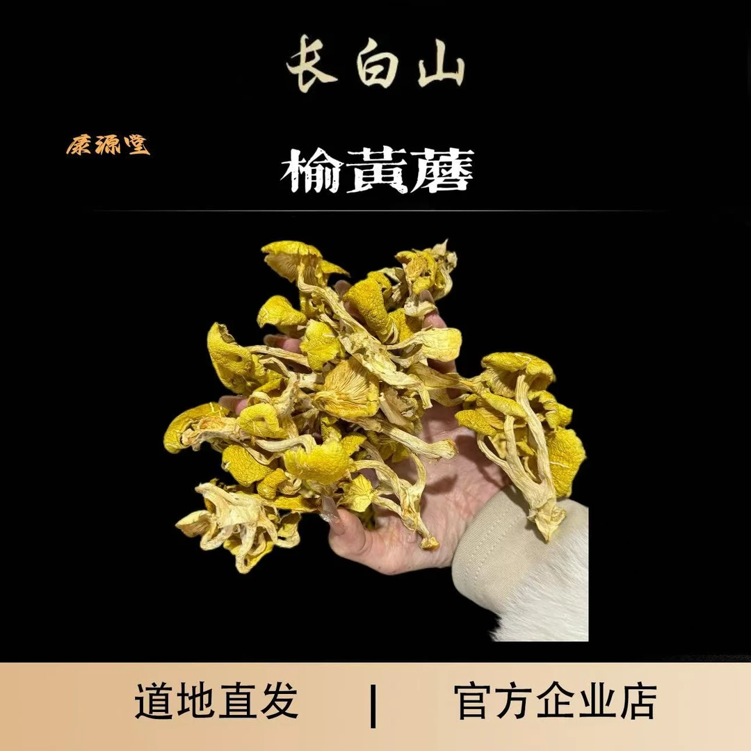 康元堂长白山特产——榆黄蘑