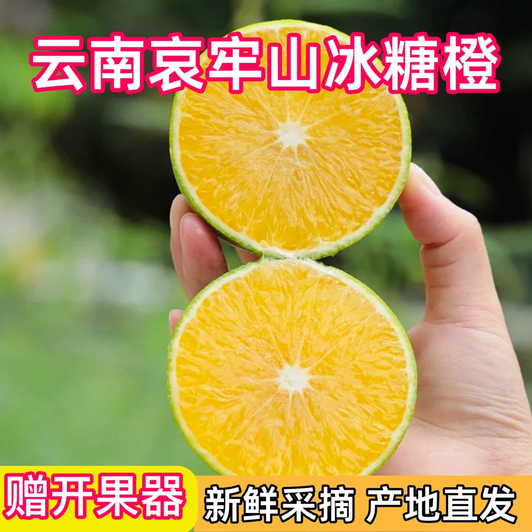 【高原印象】9斤一级果云南哀牢山青皮冰糖橙新鲜应季水果多汁