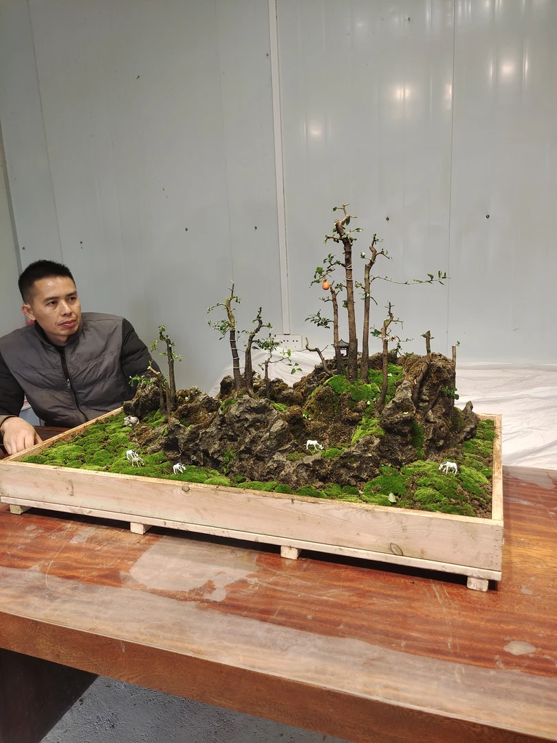 金弹子榆树附石盆景，一物一拍直播间专用链接