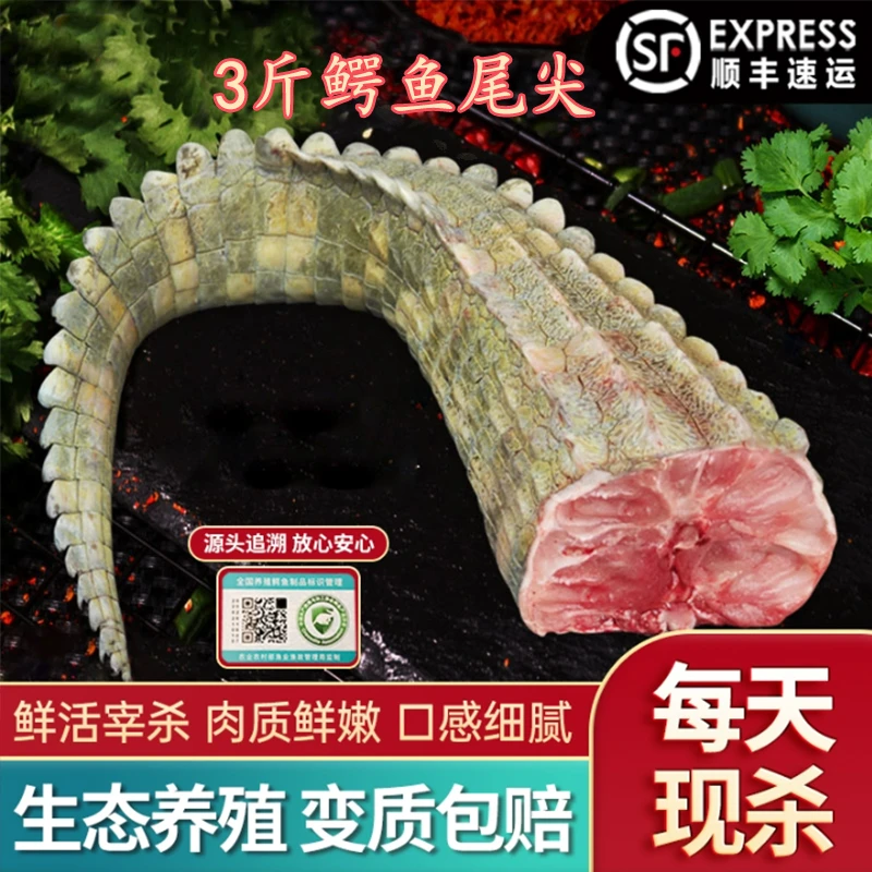【新鲜鳄鱼尾尖】带皮人工养殖鳄鱼尾巴肉可用于火锅烧烤煲汤