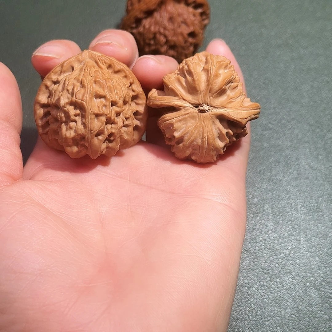 核桃涞水山地果三角白全品