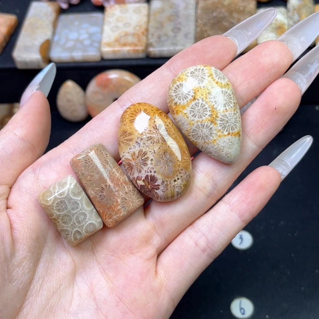 硅化珊瑚（珊瑚玉）吊坠未镶嵌