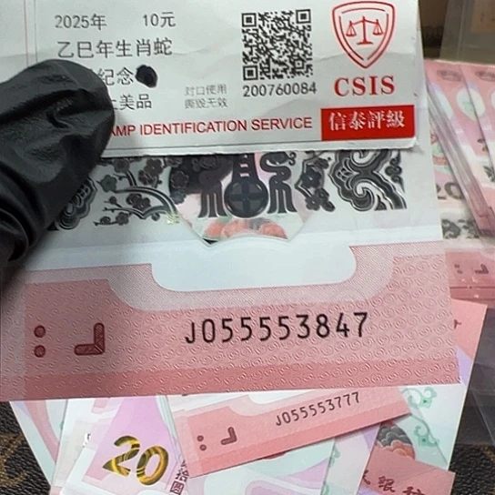 J055553847单张简易封装蛇