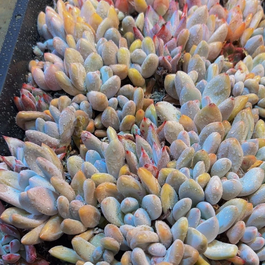 黄***丹701。在地方分沟沟壑壑姐姐