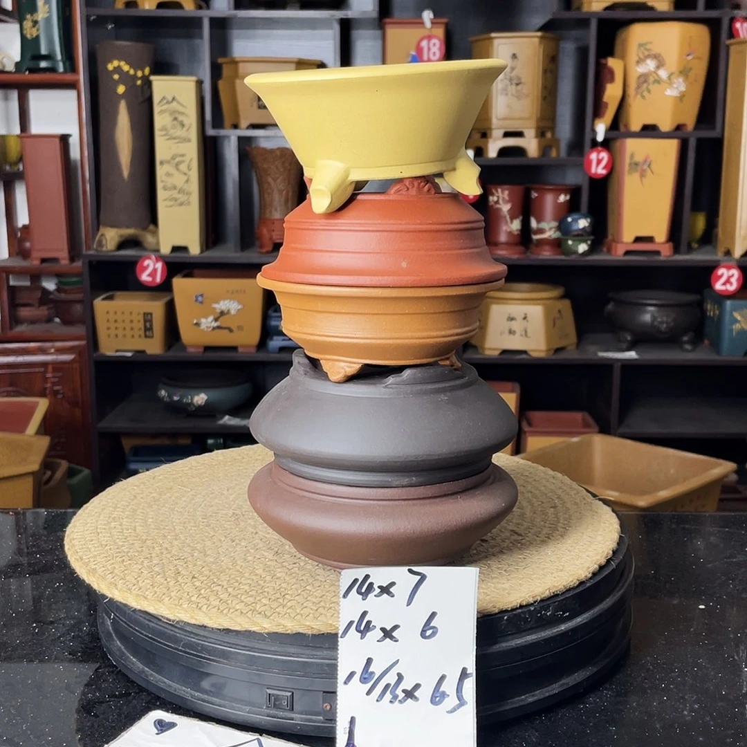 紫砂活善上 5 仁 * ^没有