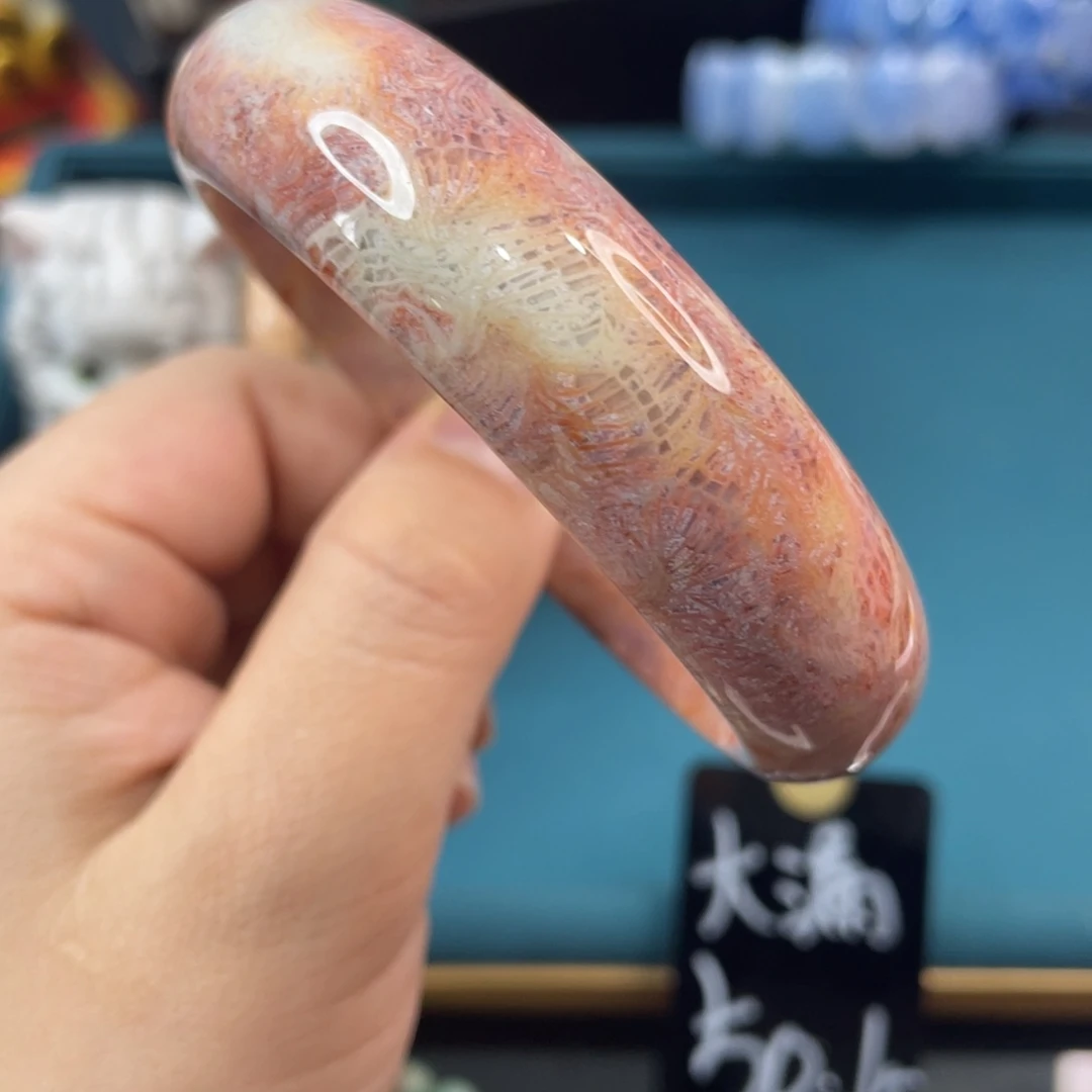 未镶嵌手镯硅化玉
