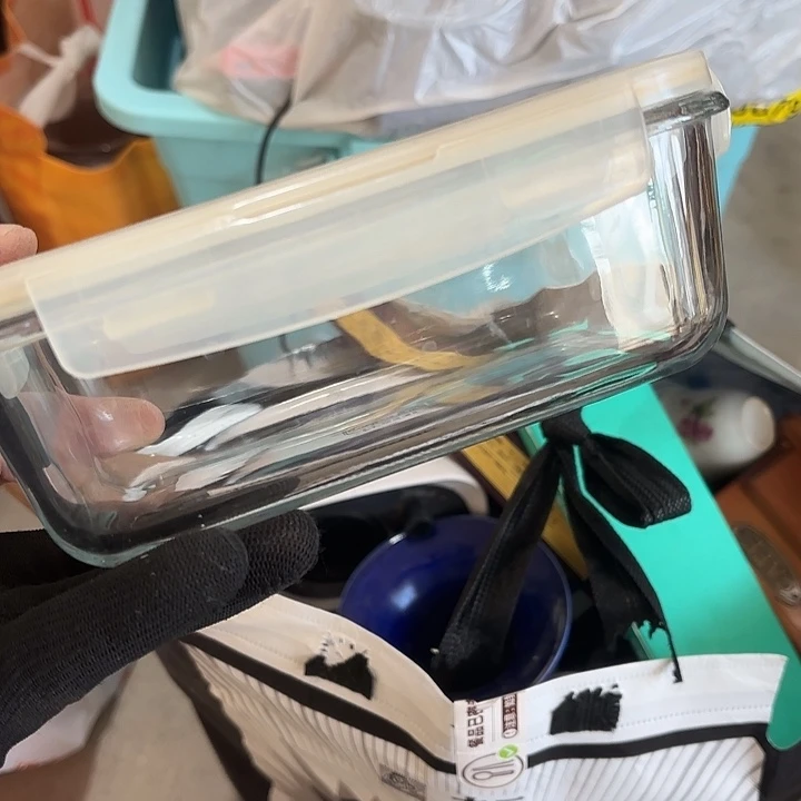 浅****杂色豆（科檀/科特迪瓦檀木）