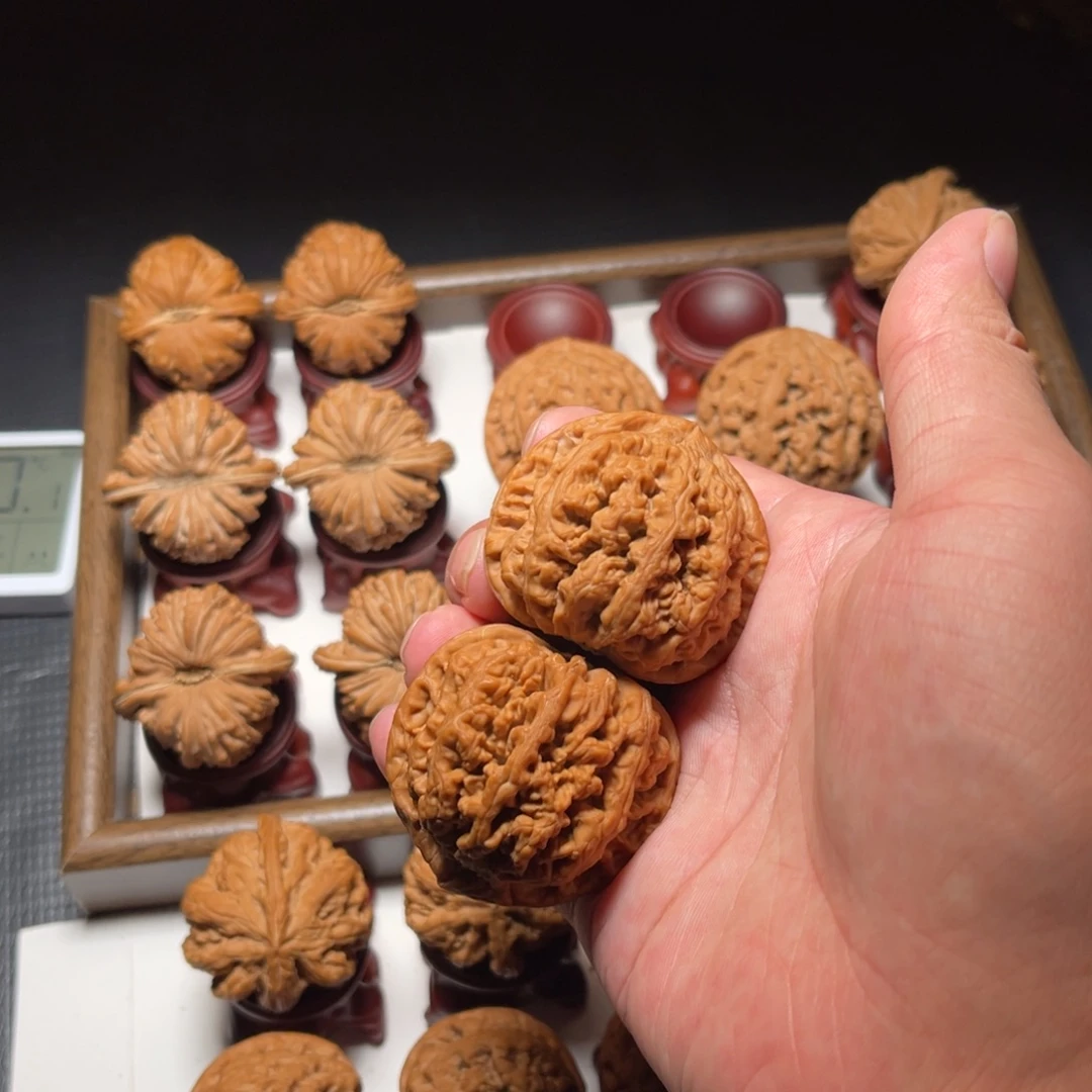 把件文玩核桃桃心三角大粗筋核桃尺寸46