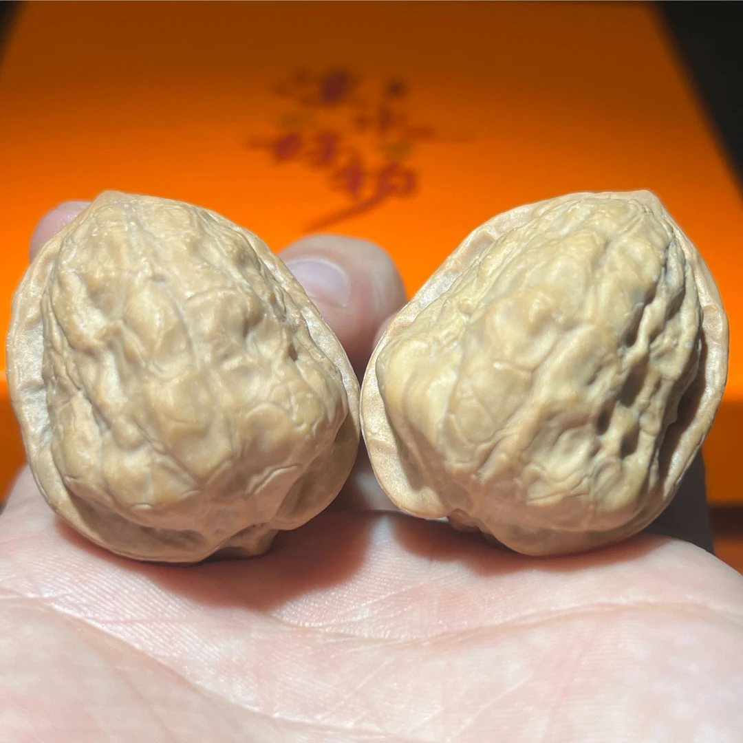 【全品石籽金蝉】文玩核桃手把件 涞水好物