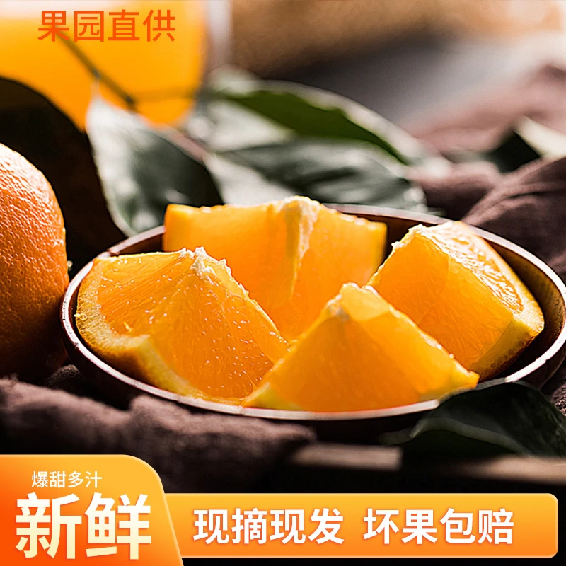 正宗麻阳脐橙新鲜采摘香甜多汁产地直发水果妞荷尔脐橙