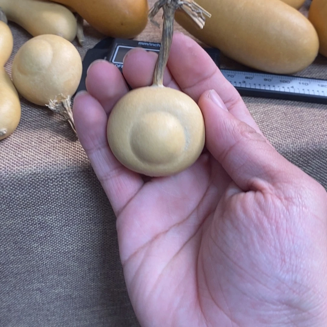 李***李大叶紫檀（黑酸枝木类）