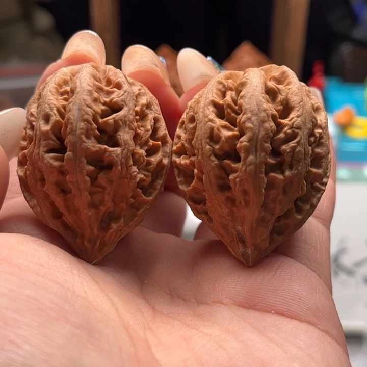 文玩核桃把件关东木子家楸大胖9