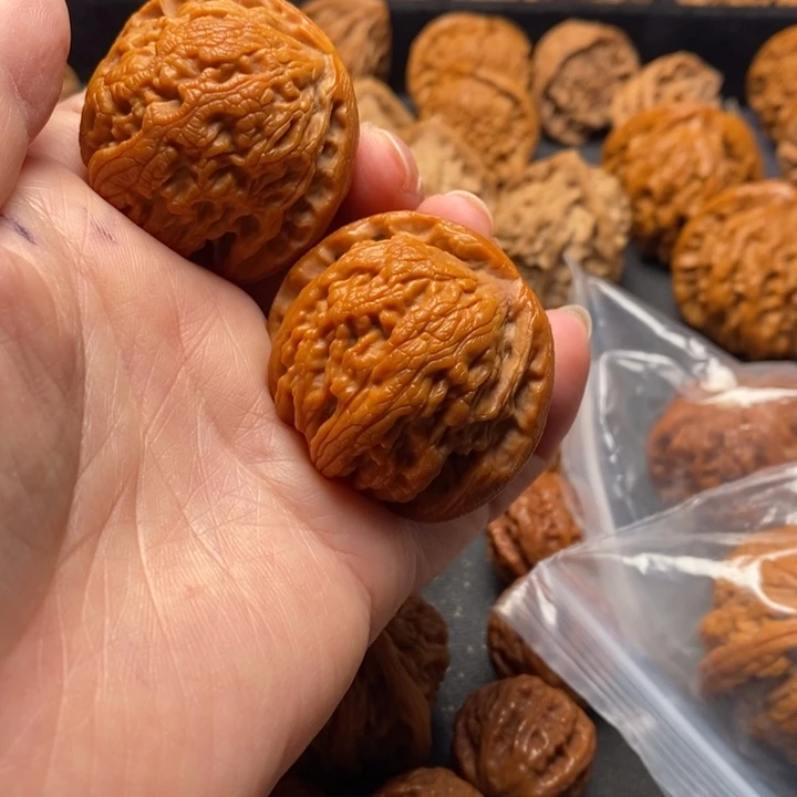 秦岭野生111111111