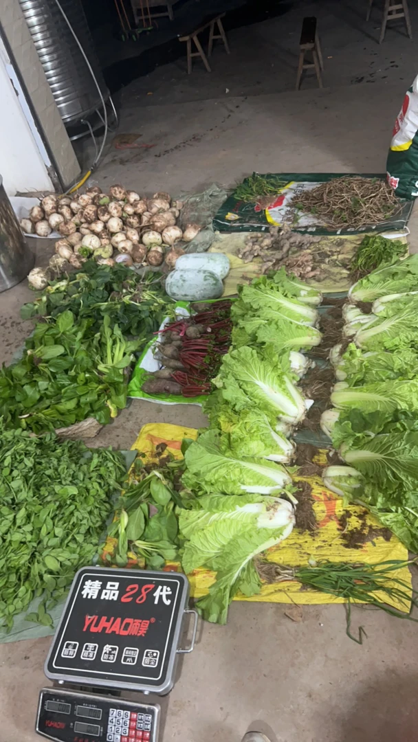 3号农家新鲜水果单拍4-5斤