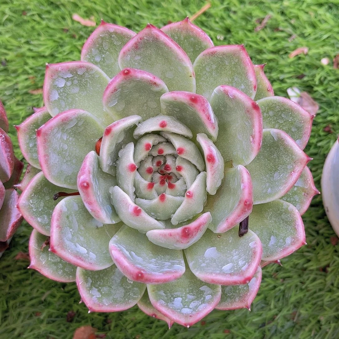 18号889888888888888