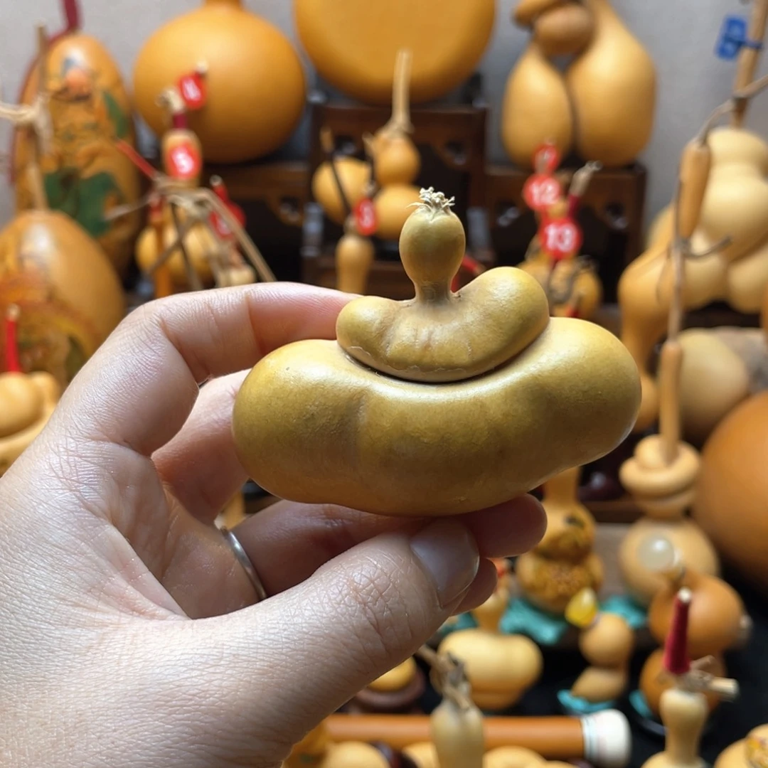 大自然的秘密第十一节你是谁