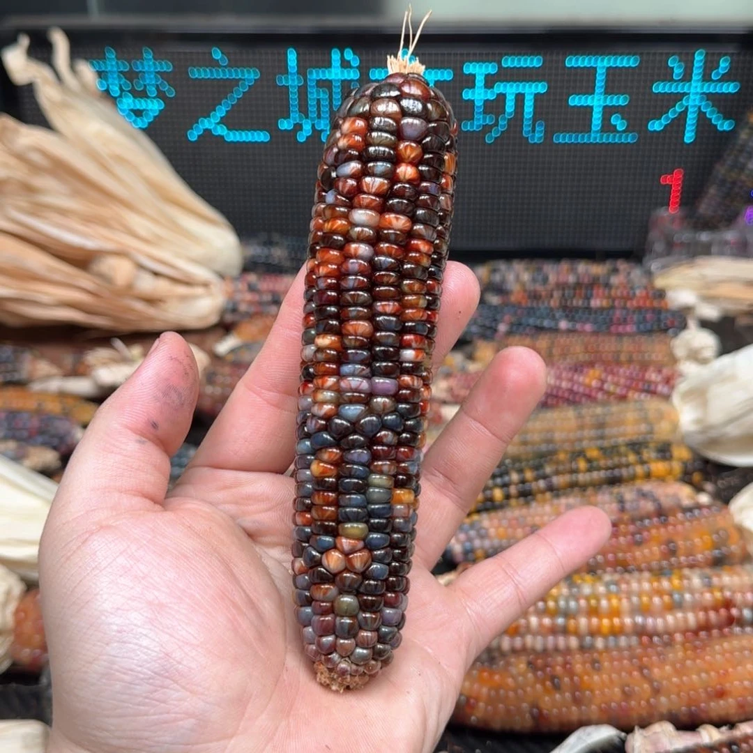 柏香籽/百香籽吊坠念*